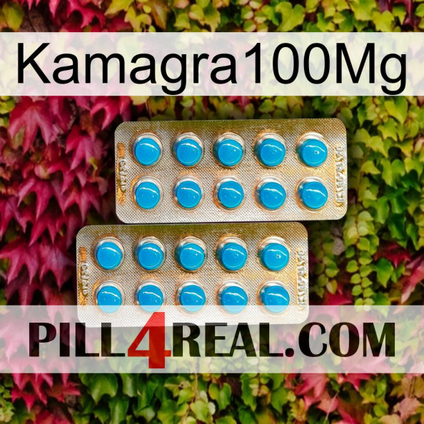 Kamagra100Mg new08.jpg